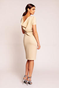 Beige Shift Seam Dress with Cowl Neck Back